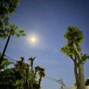 ヒメ日記 2026/04/28 20:30 投稿 荒井　雫 八王子だョ！変態集合