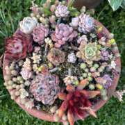 ヒメ日記 2026/04/28 21:06 投稿 荒井　雫 八王子だョ！変態集合