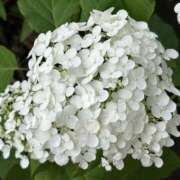 ヒメ日記 2026/06/15 07:48 投稿 荒井　雫 八王子だョ！変態集合