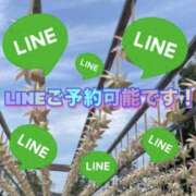 ヒメ日記 2026/08/04 20:12 投稿 荒井　雫 八王子だョ！変態集合