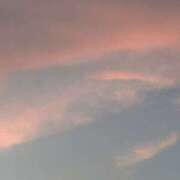 ヒメ日記 2026/08/19 20:49 投稿 荒井　雫 八王子だョ！変態集合