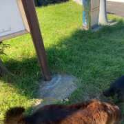 ヒメ日記 2026/10/11 10:38 投稿 荒井 雫 八王子だョ!変態集合