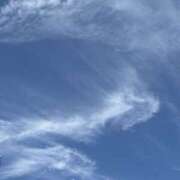 ヒメ日記 2026/10/12 23:23 投稿 荒井　雫 八王子だョ！変態集合