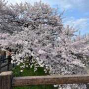 ヒメ日記 2025/04/10 17:00 投稿 宮里 かりん 神戸RED DRAGON