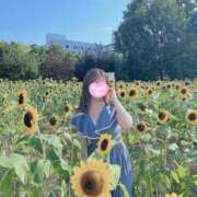 ヒメ日記 2025/07/31 14:49 投稿 宮里 かりん 神戸RED DRAGON