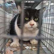 ヒメ日記 2025/03/21 07:25 投稿 まりあ 横浜熟女MAX