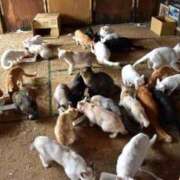 ヒメ日記 2025/03/25 08:25 投稿 まりあ 横浜熟女MAX