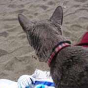 ヒメ日記 2025/03/27 12:06 投稿 まりあ 横浜熟女MAX