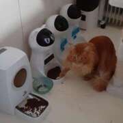 ヒメ日記 2025/04/05 21:25 投稿 まりあ 横浜熟女MAX