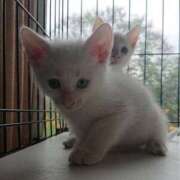 ヒメ日記 2025/07/22 13:05 投稿 まりあ 横浜熟女MAX