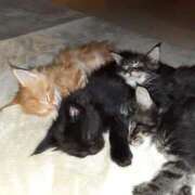 ヒメ日記 2025/09/23 07:15 投稿 まりあ 横浜熟女MAX