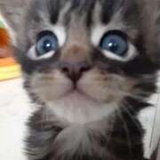 ヒメ日記 2025/09/25 16:25 投稿 まりあ 横浜熟女MAX