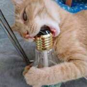 ヒメ日記 2025/09/27 06:05 投稿 まりあ 横浜熟女MAX