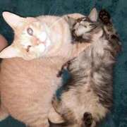 ヒメ日記 2025/09/27 16:35 投稿 まりあ 横浜熟女MAX