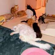 ヒメ日記 2025/09/28 20:45 投稿 まりあ 横浜熟女MAX