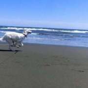 ヒメ日記 2025/09/29 19:05 投稿 まりあ 横浜熟女MAX