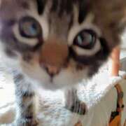 ヒメ日記 2025/10/01 16:55 投稿 まりあ 横浜熟女MAX