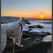 ヒメ日記 2025/10/03 18:35 投稿 まりあ 横浜熟女MAX