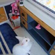 ヒメ日記 2025/10/07 08:35 投稿 まりあ 横浜熟女MAX