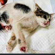 ヒメ日記 2025/10/10 14:40 投稿 まりあ 横浜熟女MAX