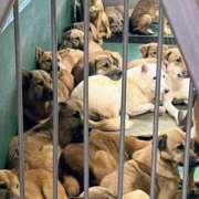 ヒメ日記 2025/10/17 22:05 投稿 まりあ 横浜熟女MAX