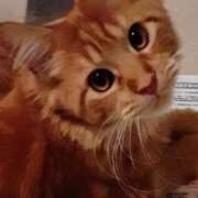 ヒメ日記 2025/10/18 09:15 投稿 まりあ 横浜熟女MAX