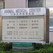 ヒメ日記 2025/10/28 11:25 投稿 まりあ 横浜熟女MAX