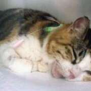 ヒメ日記 2025/10/31 17:55 投稿 まりあ 横浜熟女MAX