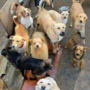 ヒメ日記 2025/11/04 22:35 投稿 まりあ 横浜熟女MAX