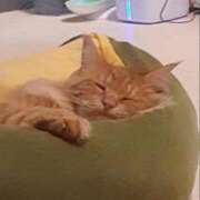 ヒメ日記 2025/11/05 20:35 投稿 まりあ 横浜熟女MAX