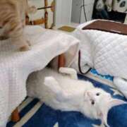 ヒメ日記 2025/11/07 06:15 投稿 まりあ 横浜熟女MAX