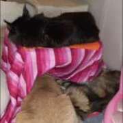 ヒメ日記 2025/11/09 06:35 投稿 まりあ 横浜熟女MAX