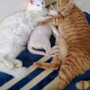 ヒメ日記 2025/11/10 18:35 投稿 まりあ 横浜熟女MAX