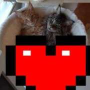 ヒメ日記 2025/11/15 06:35 投稿 まりあ 横浜熟女MAX