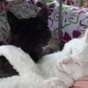 ヒメ日記 2025/11/20 15:55 投稿 まりあ 横浜熟女MAX