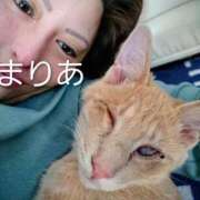 ヒメ日記 2025/11/25 11:35 投稿 まりあ 横浜熟女MAX