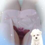 ヒメ日記 2026/03/29 16:18 投稿 田辺 小百合 こあくまな熟女たち 京都店(KOAKUMAグループ)