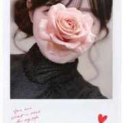 ヒメ日記 2026/04/01 02:24 投稿 田辺 小百合 こあくまな熟女たち 京都店(KOAKUMAグループ)