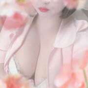 ヒメ日記 2026/04/01 14:05 投稿 田辺 小百合 こあくまな熟女たち 京都店(KOAKUMAグループ)