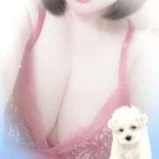 ヒメ日記 2026/04/04 13:29 投稿 田辺 小百合 こあくまな熟女たち 京都店(KOAKUMAグループ)