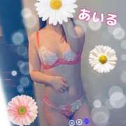 ヒメ日記 2026/01/05 14:30 投稿 OL≫優花あいる 不倫商事多治見営業所