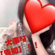 ヒメ日記 2026/04/02 17:30 投稿 OL≫優花あいる 不倫商事 多治見本店