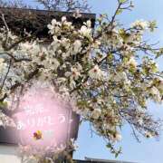 ヒメ日記 2026/04/19 19:55 投稿 OL≫優花あいる 不倫商事 多治見本店