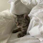 ヒメ日記 2025/04/03 01:34 投稿 あかり 池袋マリン本店