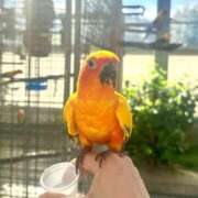 ヒメ日記 2025/07/28 21:08 投稿 しえる 3/19体験入店!!! Office Love　町田店（Loveグループ）