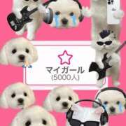 ヒメ日記 2025/11/17 12:18 投稿 しえる 3/19体験入店!!! Office Love　町田店（Loveグループ）