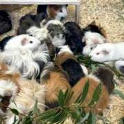 ヒメ日記 2025/12/18 18:49 投稿 しえる 3/19体験入店!!! Office Love　町田店（Loveグループ）