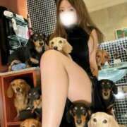 ヒメ日記 2026/01/11 20:58 投稿 しえる 3/19体験入店!!! Office Love　町田店（Loveグループ）