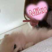 ヒメ日記 2025/10/19 21:17 投稿 みく One More奥様　横浜関内店