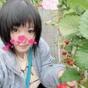 ヒメ日記 2025/03/20 19:18 投稿 ひなた 群馬渋川水沢ちゃんこ